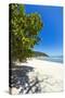 Cabo Blanco Nature Reserve and Beach-Rob Francis-Stretched Canvas