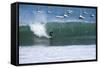 Cabo Blanco, sea and surfing, Peru, South America-Peter Groenendijk-Framed Stretched Canvas