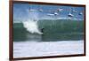Cabo Blanco, sea and surfing, Peru, South America-Peter Groenendijk-Framed Photographic Print