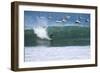 Cabo Blanco, sea and surfing, Peru, South America-Peter Groenendijk-Framed Photographic Print