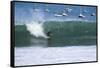 Cabo Blanco, sea and surfing, Peru, South America-Peter Groenendijk-Framed Stretched Canvas