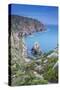 Cabo de Roca Portugal-Belinda Shi-Stretched Canvas