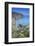 Cabo de Roca Portugal-Belinda Shi-Framed Photographic Print