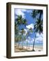 Cabo De Sao Roque, Natal, Rio Grande Do Norte State, Brazil, South America-Sergio Pitamitz-Framed Photographic Print