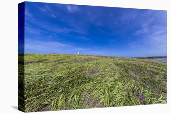 Cabo Rojo Lighthouse, Cabo Rojo National Wildlife Refuge, Puerto Rico-Maresa Pryor-Stretched Canvas