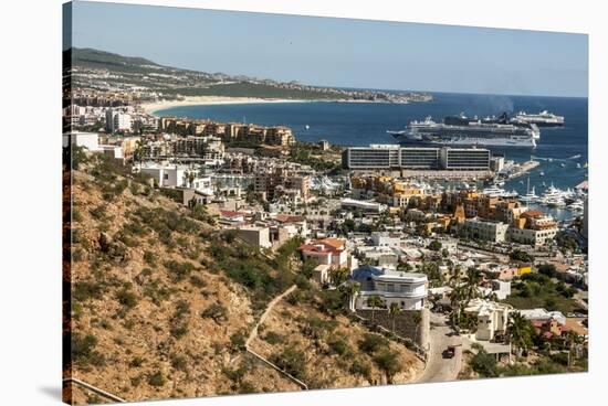 Cabo San Lucas, Baja California, Mexico, North America-Tony Waltham-Stretched Canvas