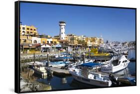 Cabo San Lucas Marina, Baja California, Mexico, North America-Peter Groenendijk-Framed Stretched Canvas
