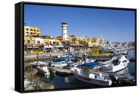 Cabo San Lucas Marina, Baja California, Mexico, North America-Peter Groenendijk-Framed Stretched Canvas