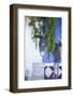 Cabo San Lucas, Mexico. Mural on a wall depicting a donkey (burro).-Julien McRoberts-Framed Photographic Print