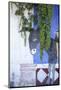 Cabo San Lucas, Mexico. Mural on a wall depicting a donkey (burro).-Julien McRoberts-Mounted Photographic Print