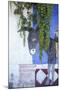 Cabo San Lucas, Mexico. Mural on a wall depicting a donkey (burro).-Julien McRoberts-Mounted Photographic Print