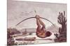 Cabocle a Civilized Indian Shooting a Bow-Jean Baptiste Debret-Mounted Premium Giclee Print