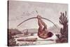 Cabocle a Civilized Indian Shooting a Bow-Jean Baptiste Debret-Stretched Canvas
