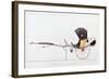 Cabriolet-null-Framed Giclee Print