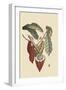 Cacao or Chocolate Tree-Mark Catesby-Framed Art Print