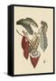 Cacao or Chocolate Tree-Mark Catesby-Framed Stretched Canvas