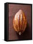 Cacao Pod on Brown Background-null-Framed Stretched Canvas