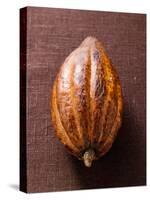 Cacao Pod on Brown Background-null-Stretched Canvas