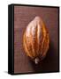 Cacao Pod on Brown Background-null-Framed Stretched Canvas
