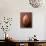 Cacao Pod on Brown Background-null-Stretched Canvas displayed on a wall