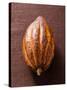 Cacao Pod on Brown Background-null-Stretched Canvas