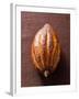 Cacao Pod on Brown Background-null-Framed Photographic Print