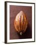 Cacao Pod on Brown Background-null-Framed Photographic Print