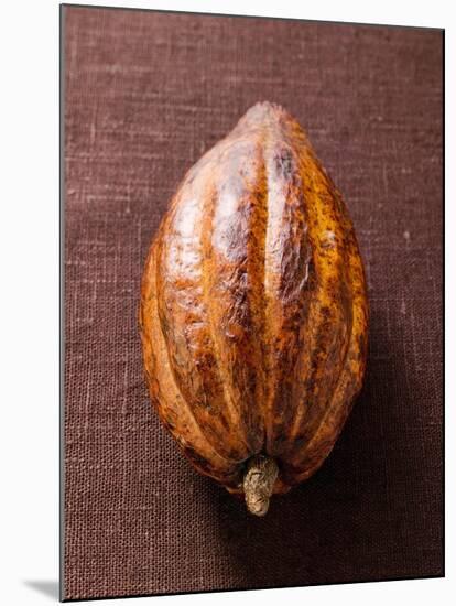 Cacao Pod on Brown Background-null-Mounted Photographic Print