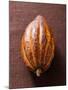 Cacao Pod on Brown Background-null-Mounted Photographic Print