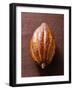 Cacao Pod on Brown Background-null-Framed Photographic Print