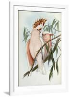 Cacatua Leadbeateri, 1848-1869-John Gould-Framed Giclee Print