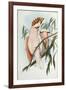 Cacatua Leadbeateri, 1848-1869-John Gould-Framed Giclee Print