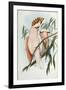 Cacatua Leadbeateri, 1848-1869-John Gould-Framed Giclee Print