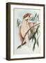 Cacatua Leadbeateri, 1848-1869-John Gould-Framed Giclee Print