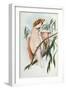 Cacatua Leadbeateri, 1848-1869-John Gould-Framed Giclee Print