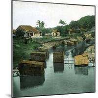 Cachanga, State of Pernambuco (Brazil), around 1900-Leon, Levy et Fils-Mounted Photographic Print