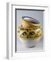 Cachepot Decorated with Loose Looped Braiding and Crackle Glazing-null-Framed Giclee Print