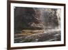 Cachoeira Buracao Waterfall in the Chapada Diamantina National Park-Alex Saberi-Framed Photographic Print