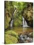 Cachoeira Indiana Jones, waterfall in Boa Esperanca de Cima, Nova Friburgo Municipality, State of R-Karol Kozlowski-Stretched Canvas
