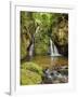 Cachoeira Indiana Jones, waterfall in Boa Esperanca de Cima, Nova Friburgo Municipality, State of R-Karol Kozlowski-Framed Photographic Print