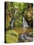 Cachoeira Indiana Jones, waterfall in Boa Esperanca de Cima, Nova Friburgo Municipality, State of R-Karol Kozlowski-Stretched Canvas