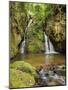 Cachoeira Indiana Jones, waterfall in Boa Esperanca de Cima, Nova Friburgo Municipality, State of R-Karol Kozlowski-Mounted Photographic Print