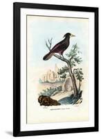 Cacique, 1863-79-Raimundo Petraroja-Framed Giclee Print