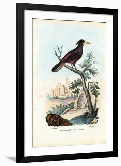 Cacique, 1863-79-Raimundo Petraroja-Framed Giclee Print