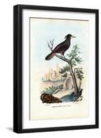 Cacique, 1863-79-Raimundo Petraroja-Framed Premium Giclee Print