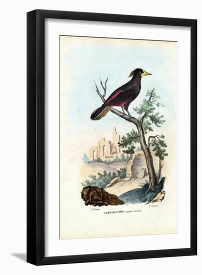 Cacique, 1863-79-Raimundo Petraroja-Framed Premium Giclee Print