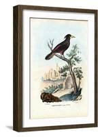 Cacique, 1863-79-Raimundo Petraroja-Framed Giclee Print