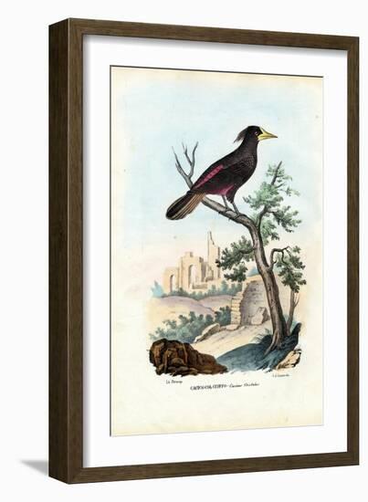 Cacique, 1863-79-Raimundo Petraroja-Framed Giclee Print