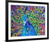 Cacophony Of Color-null-Framed Art Print