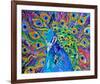 Cacophony Of Color-null-Framed Art Print